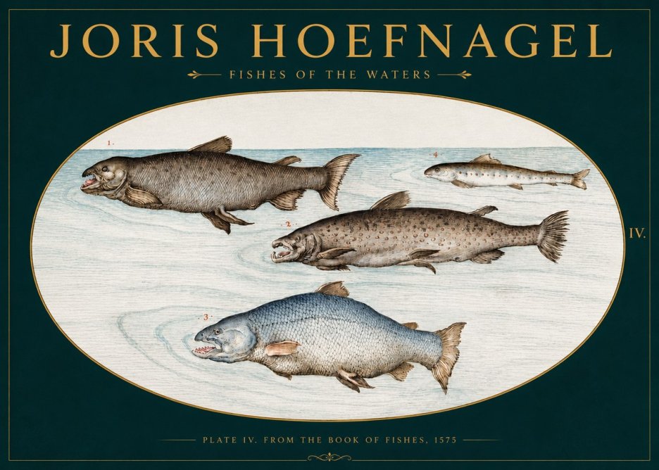Joris Hoefnagel Fishes of the Waters I No3 - Poster