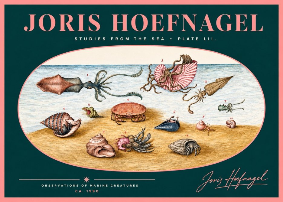 Joris Hoefnagel Marine Creatures - Plate Lii No2 - Poster