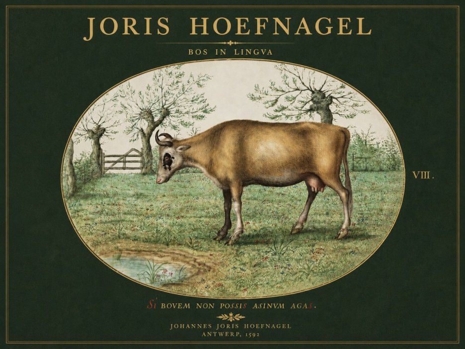 Joris Hoefnagel Bos in Lingva No3 - Poster