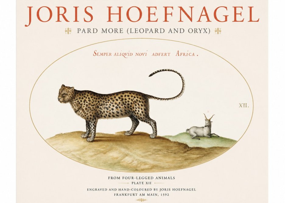 Joris Hoefnagel Pard More (Leopard and Oryx) No1 - Poster