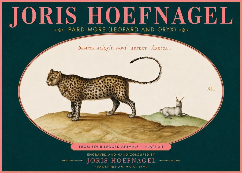 Joris Hoefnagel Pard More (Leopard and Oryx) No5 - Poster