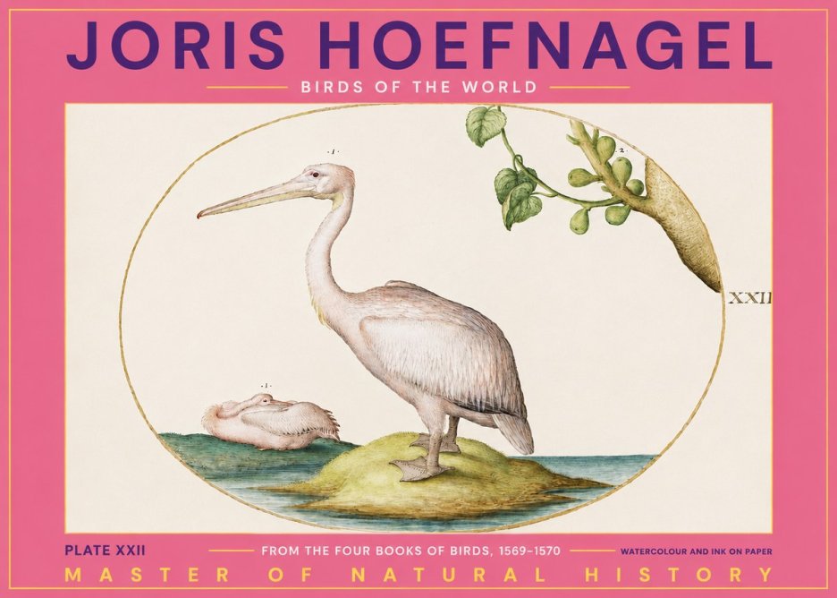 Joris Hoefnagel Plate Xxii No2 - Poster