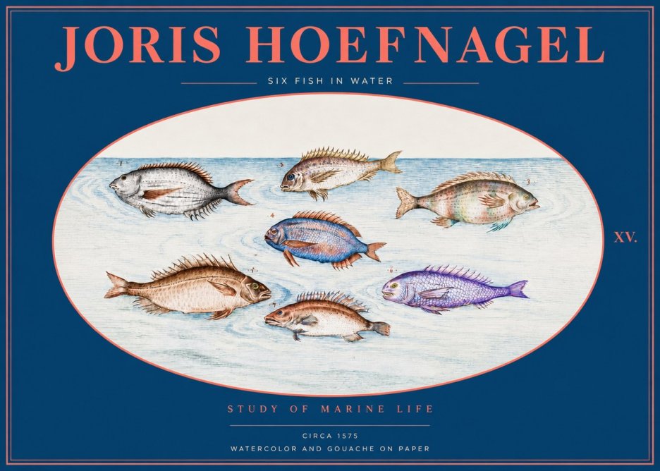 Joris Hoefnagel Six Fish in Water No2 - Poster