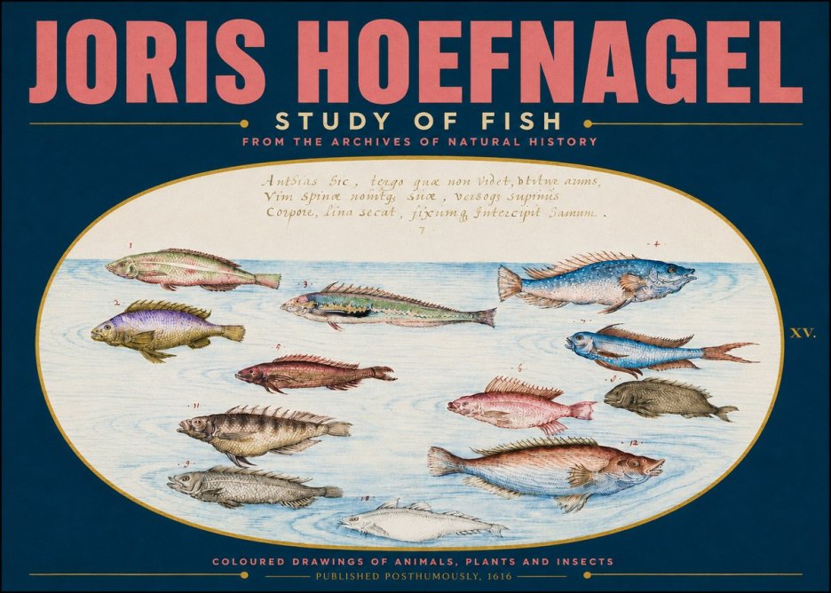 Joris Hoefnagel Study of Fish No4 - Poster