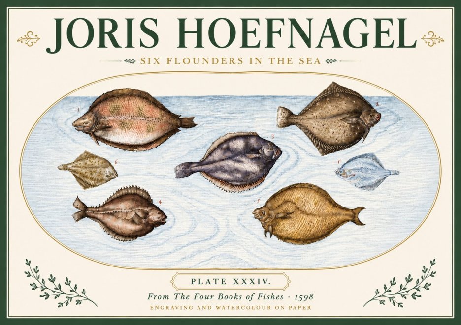 Joris Hoefnagel Six Flounders in the Sea No6 - Poster