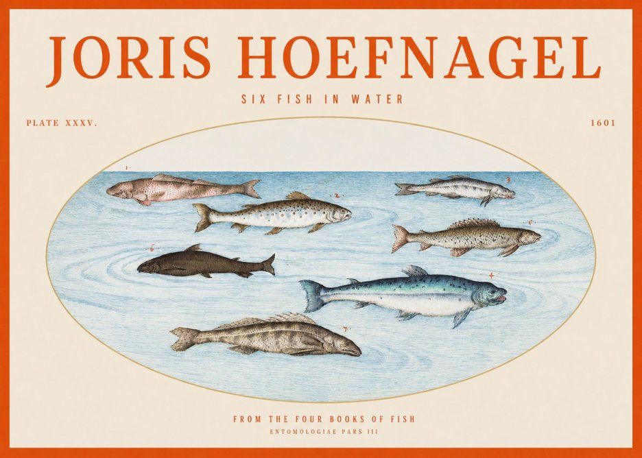 Joris Hoefnagel Six Fishes in Water I No6 - Poster