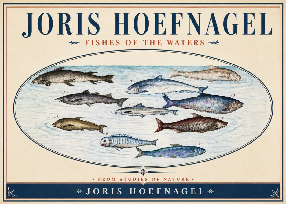 Joris Hoefnagel Fishes of the Waters II No4 - Poster