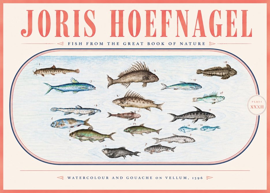 Joris Hoefnagel Fish from the Great Book of Nature No5 - Poster