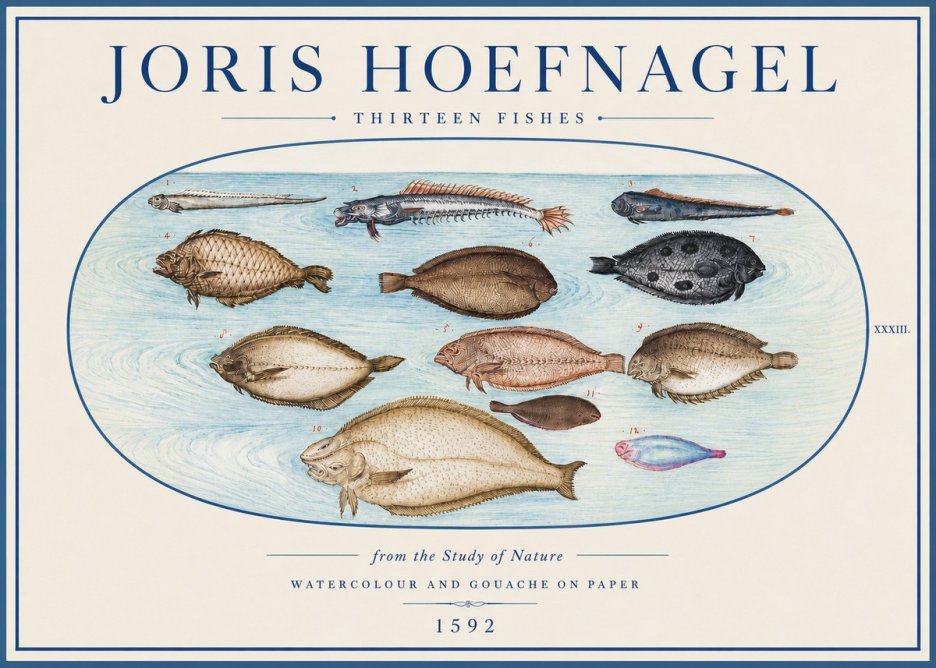 Joris Hoefnagel Thirteen Fishes from the Study of Nature No4 - Poster