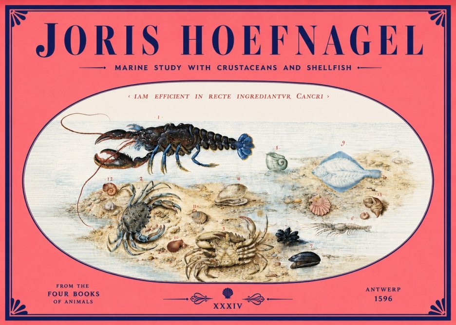 Joris Hoefnagel Marine Study with Crustaceans and Shellfish No4 - Poster