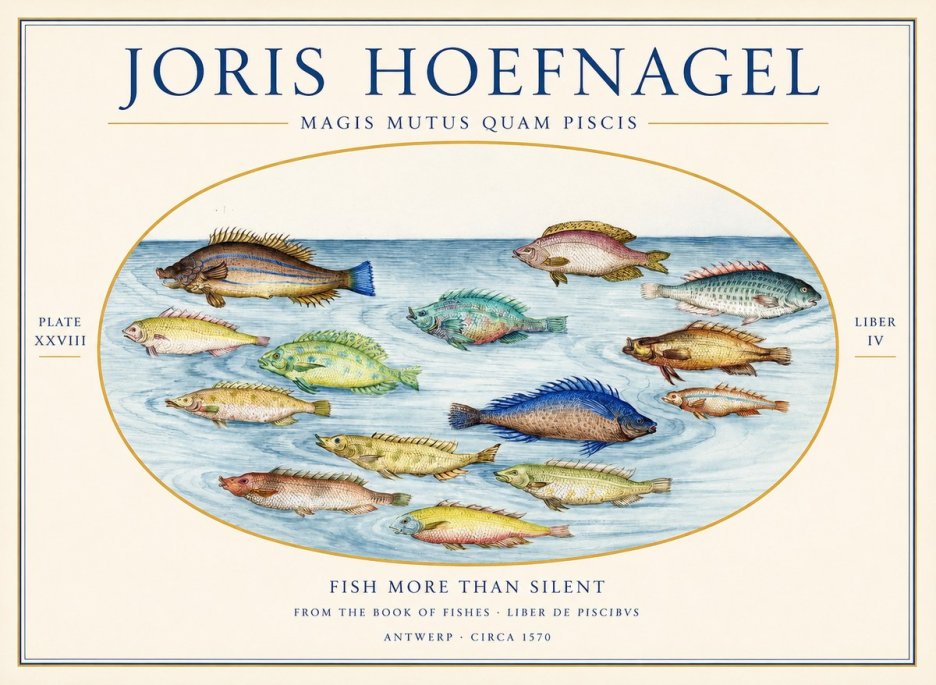 Joris Hoefnagel Fish More Than Silent No1 - Poster