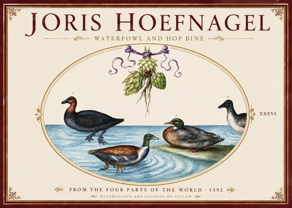 Joris Hoefnagel Waterfowl and Hop Bine No4 - Poster
