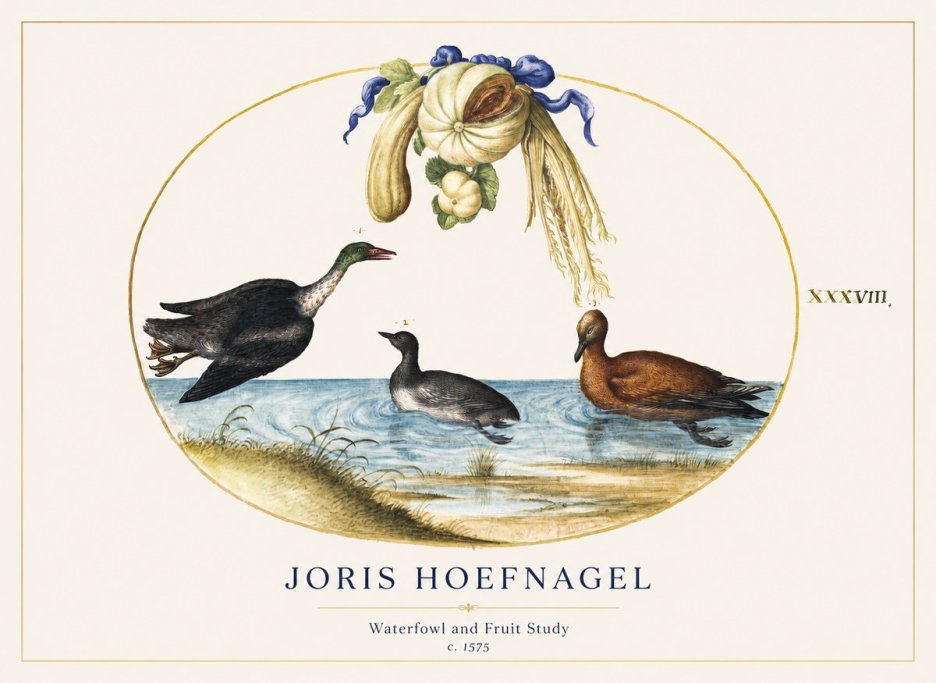 Joris Hoefnagel Waterfowl and Fruit Study No1 - Poster