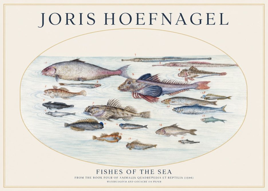 Joris Hoefnagel Fishes of the Sea III No1 - Poster