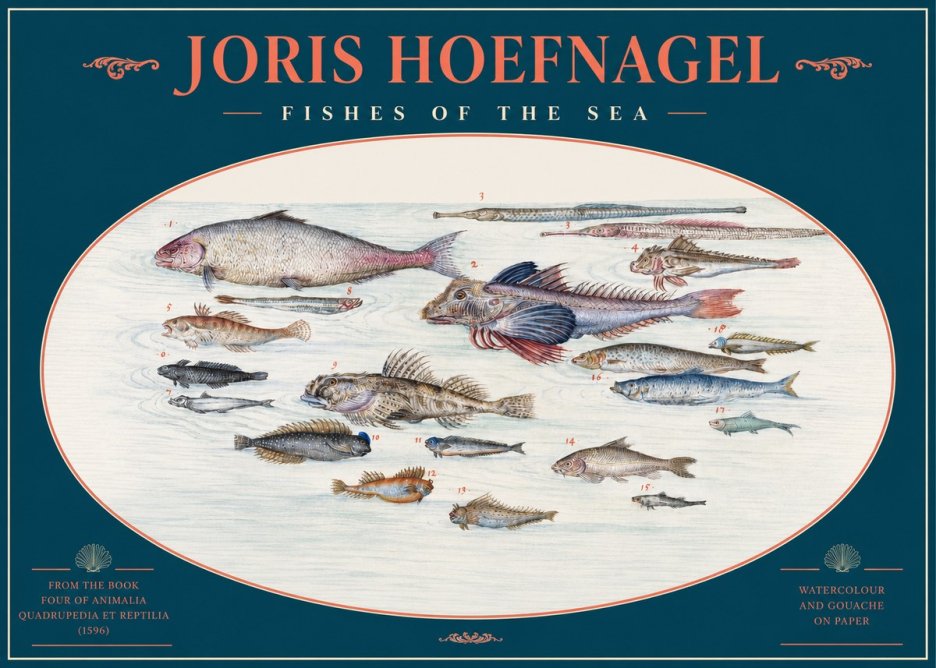 Joris Hoefnagel Fishes of the Sea III No2 - Poster