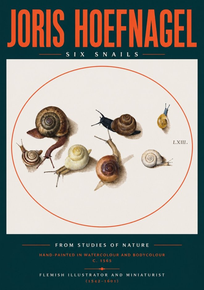 Joris Hoefnagel Six Snails No2 - Poster