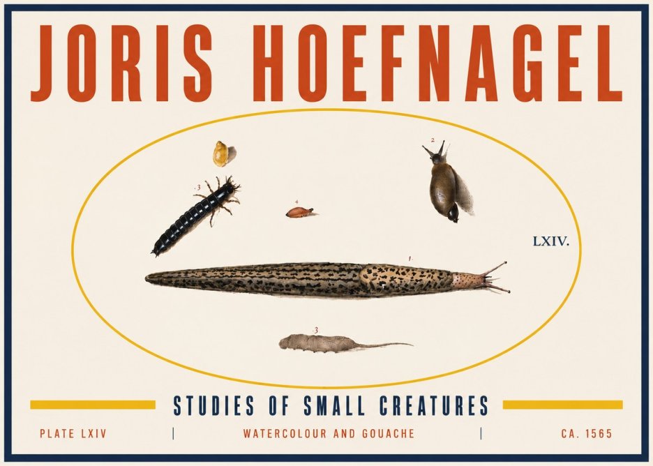 Joris Hoefnagel Plate Lxiv No6 - Poster