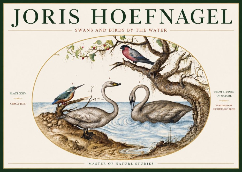 Joris Hoefnagel Swans and Birds by the Water No3 - Poster