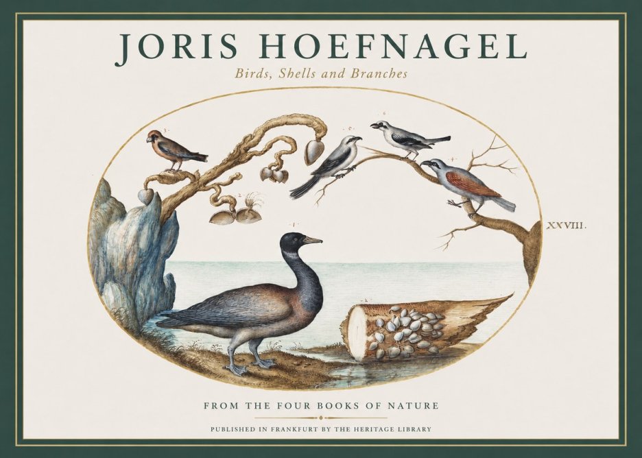 Joris Hoefnagel Birds, Shells and Branches No1 - Poster