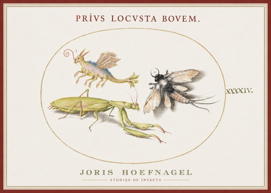 Joris Hoefnagel Privs Locvsta Bovem. No1 - Poster