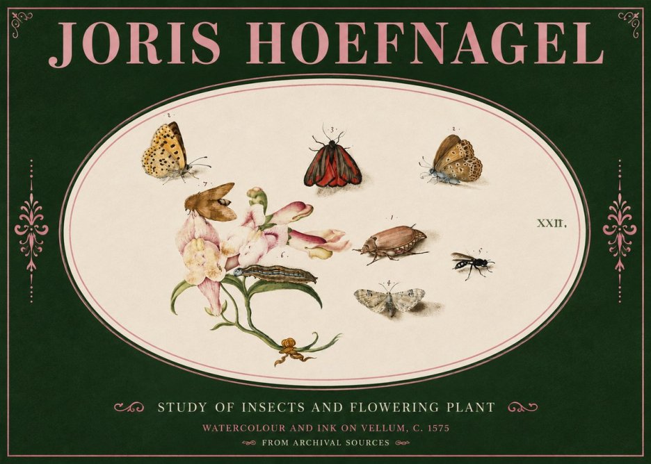 Joris Hoefnagel Study of Insects and Flowering Plant No4 - Poster