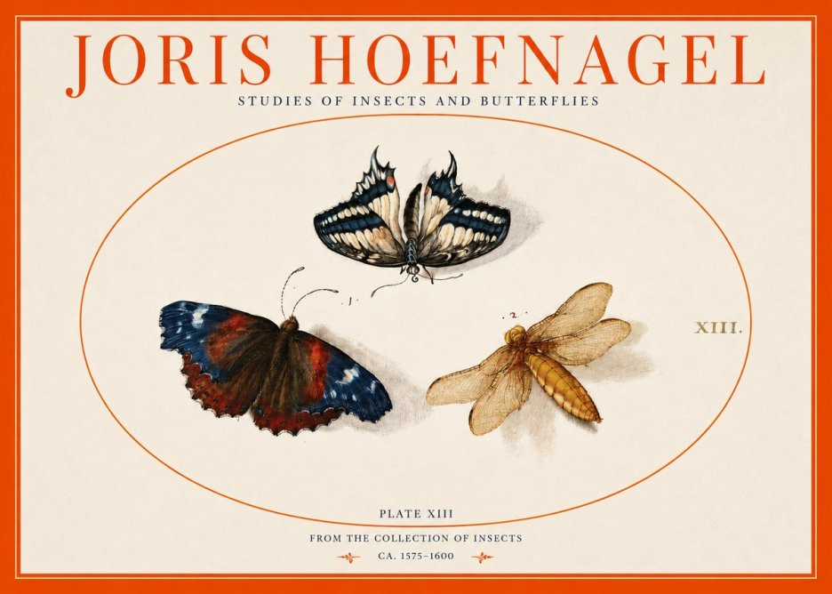 Joris Hoefnagel Studies of Insects - Plate Xiii No3 - Poster