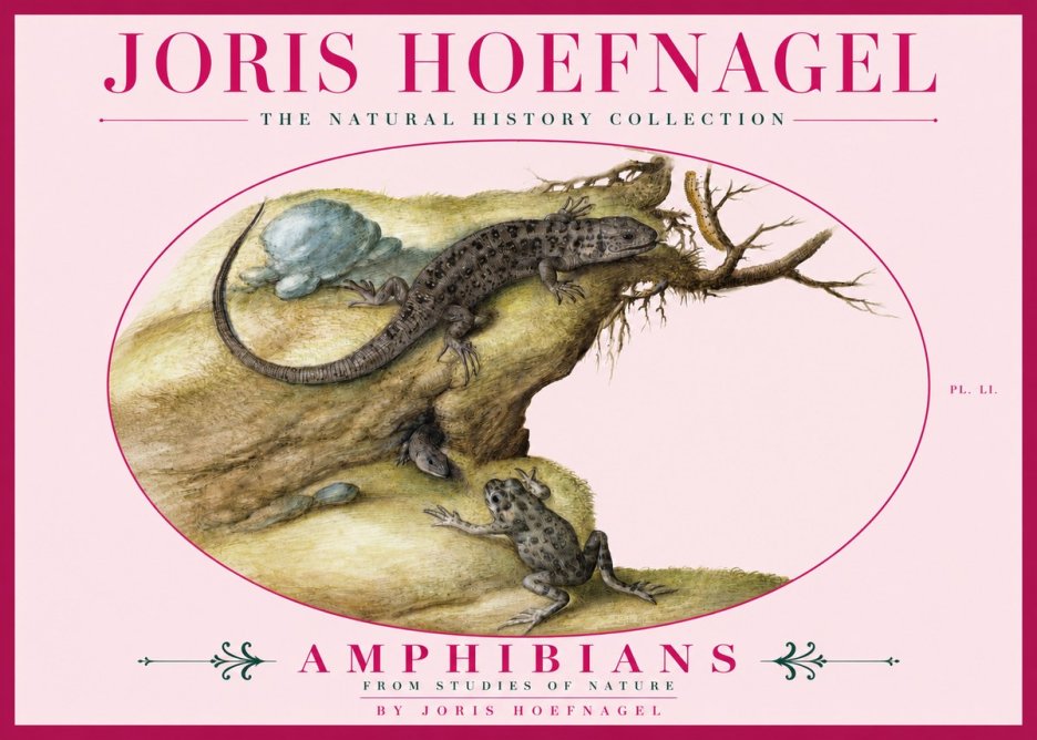 Joris Hoefnagel Amphibians from Studies of Nature No3 - Poster