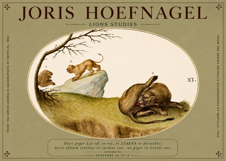 Joris Hoefnagel Lions Studies No4 - Poster