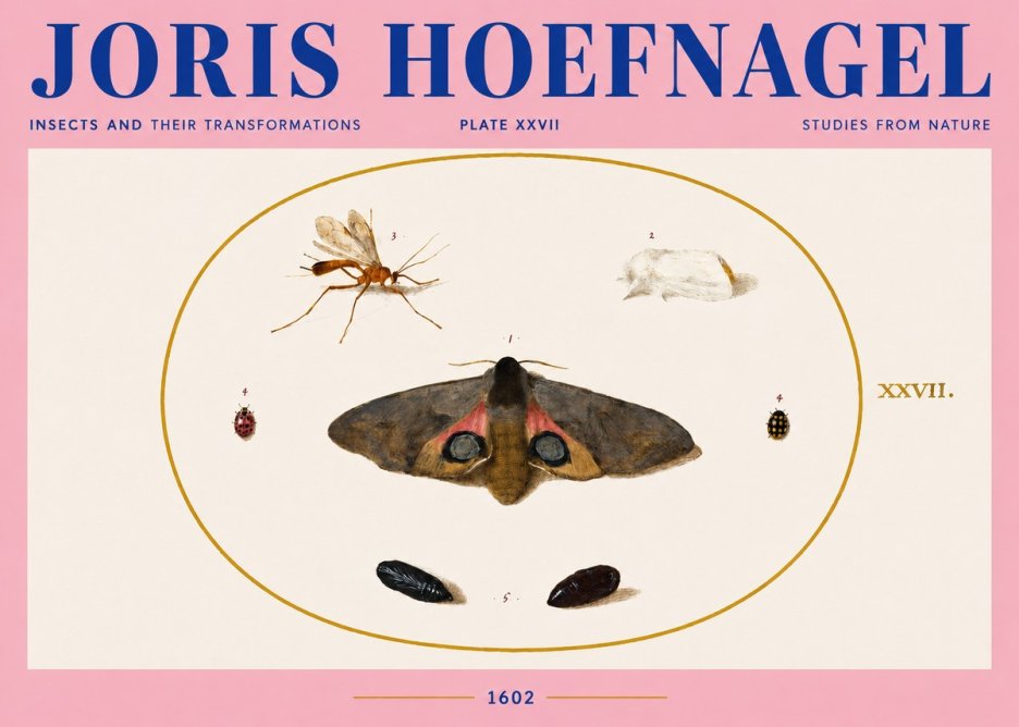 Joris Hoefnagel Insects and Their Transformations - Plate Xxvii No4 - Poster