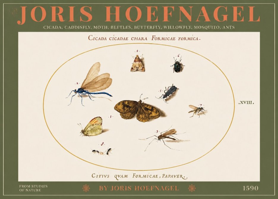 Joris Hoefnagel Cicada Cicadae Chara Formicae Formica. No3 - Poster