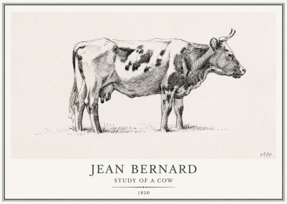 Jean Bernard Study of a Cow XX No1 - Poster