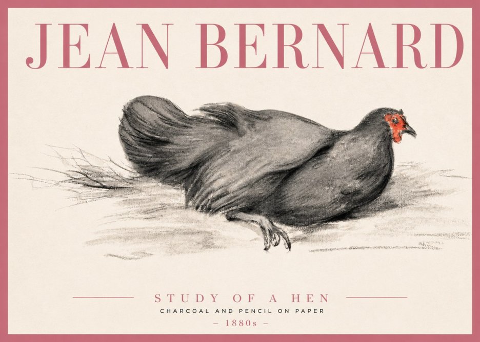 Jean Bernard Study of a Hen No3 - Poster