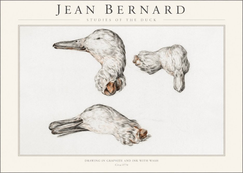 Jean Bernard Studies of the Duck No1 - Poster