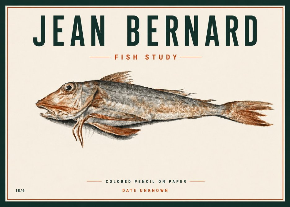 Jean Bernard Fish Study II No4 - Poster