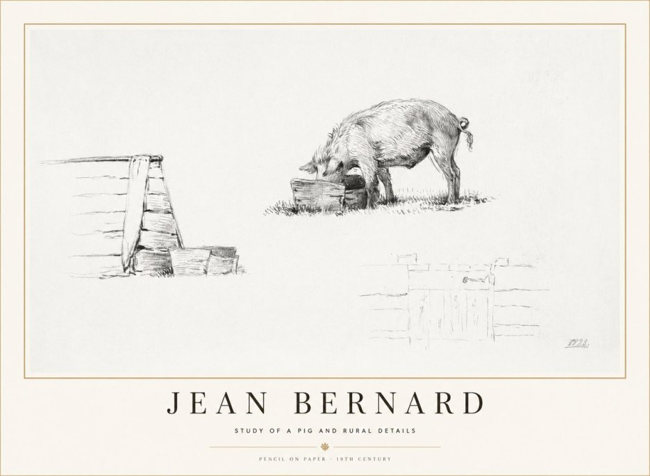 Jean Bernard Pig Study No2 - Poster