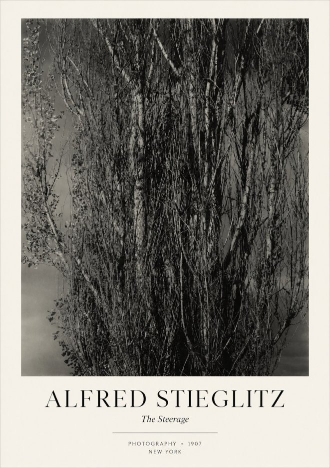 Alfred Stieglitz The Steerage II No3 - Poster