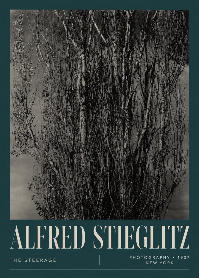 Alfred Stieglitz The Steerage II No5 - Poster