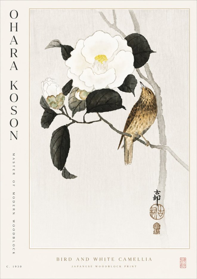Ohara Koson Bird and White Camellia No5 - Poster