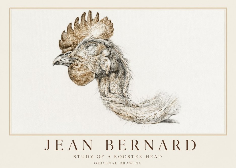 Jean Bernard Study of a Rooster Head No1 - Poster