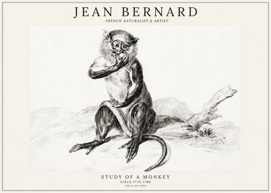 Jean Bernard Study of a Monkey No3 - Poster