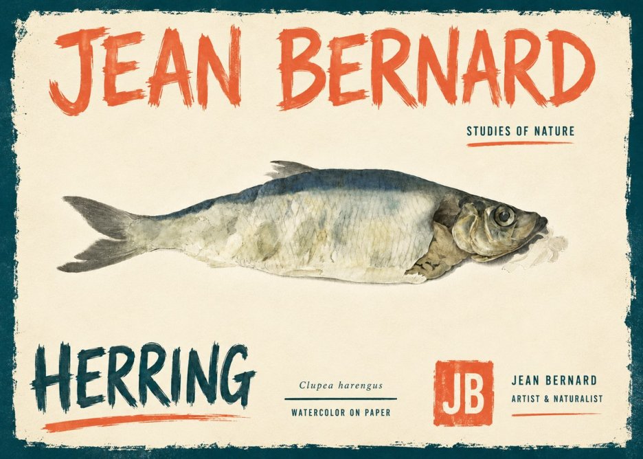 Jean Bernard Herring No6 - Poster