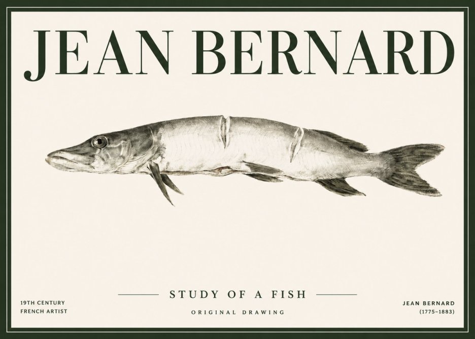 Jean Bernard Study of a Fish II No4 - Poster