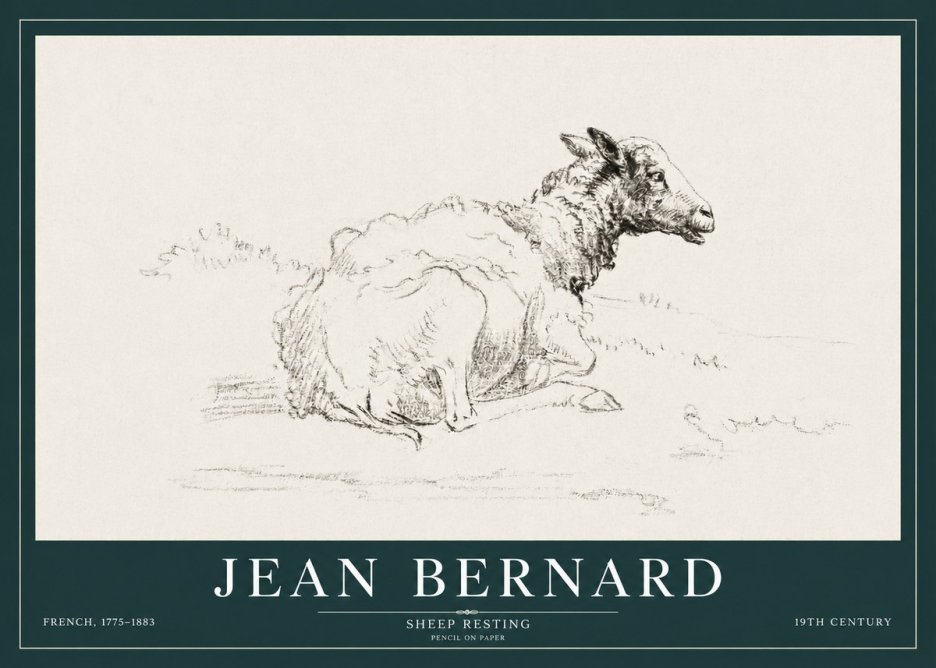 Jean Bernard Sheep Resting No3 - Poster
