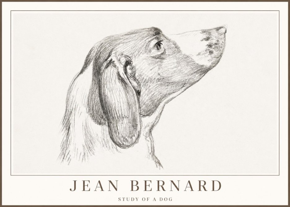 Jean Bernard Study of a Dog I No2 - Poster