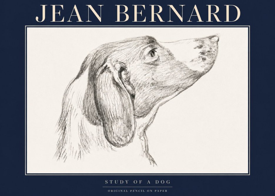 Jean Bernard Study of a Dog I No4 - Poster