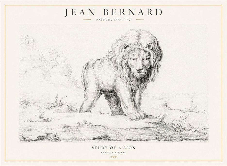 Jean Bernard Study of a Lion I No4 - Poster