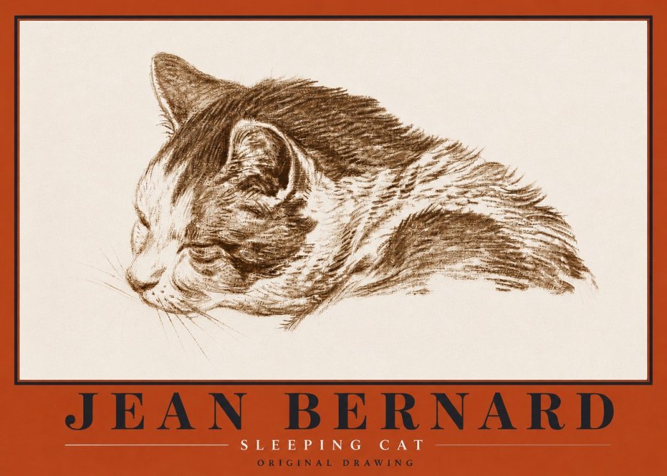 Jean Bernard Sleeping Cat II No5 - Poster