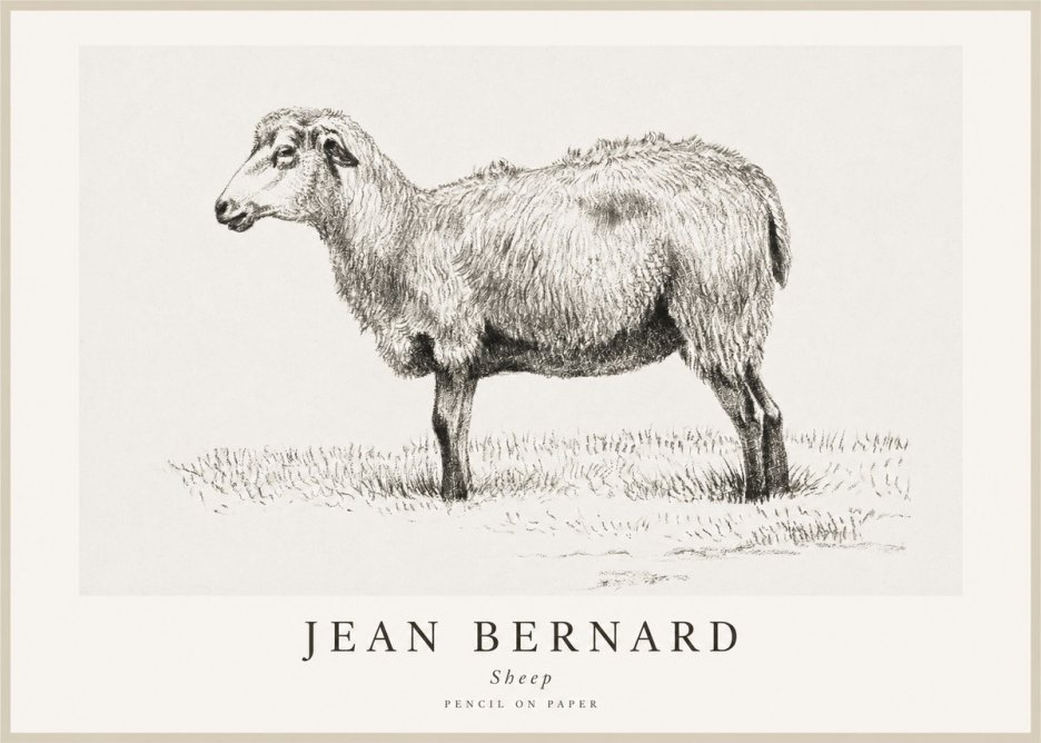 Jean Bernard Sheep No1 - Poster
