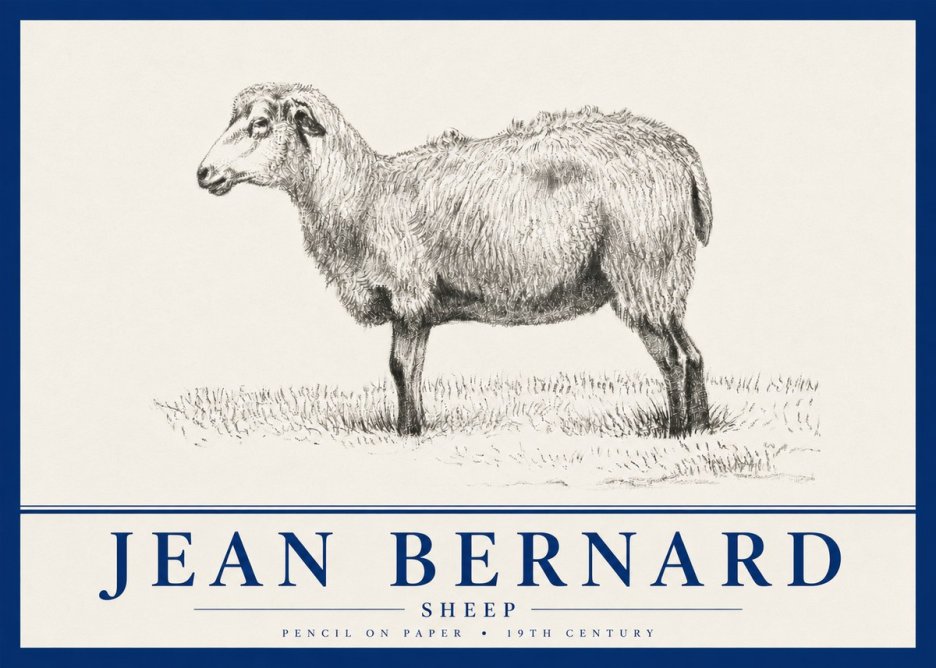 Jean Bernard Sheep No4 - Poster