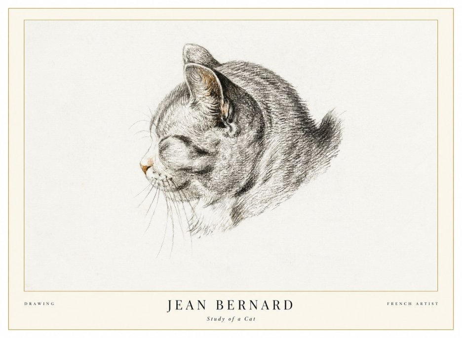 Jean Bernard Study of a Cat I No1 - Poster